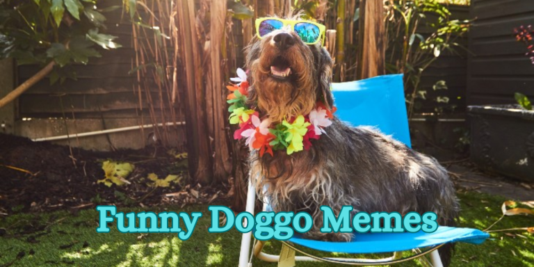 Funny Doggo Memes