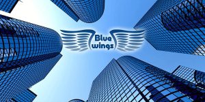 blue wings general trading