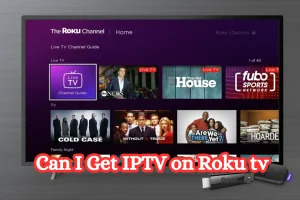 Can I Get IPTV on Roku tv
