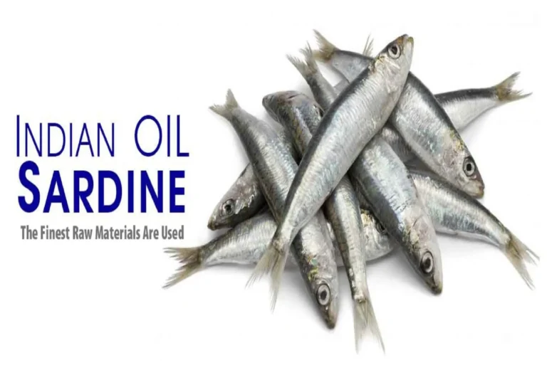 Fish Meal Solutions