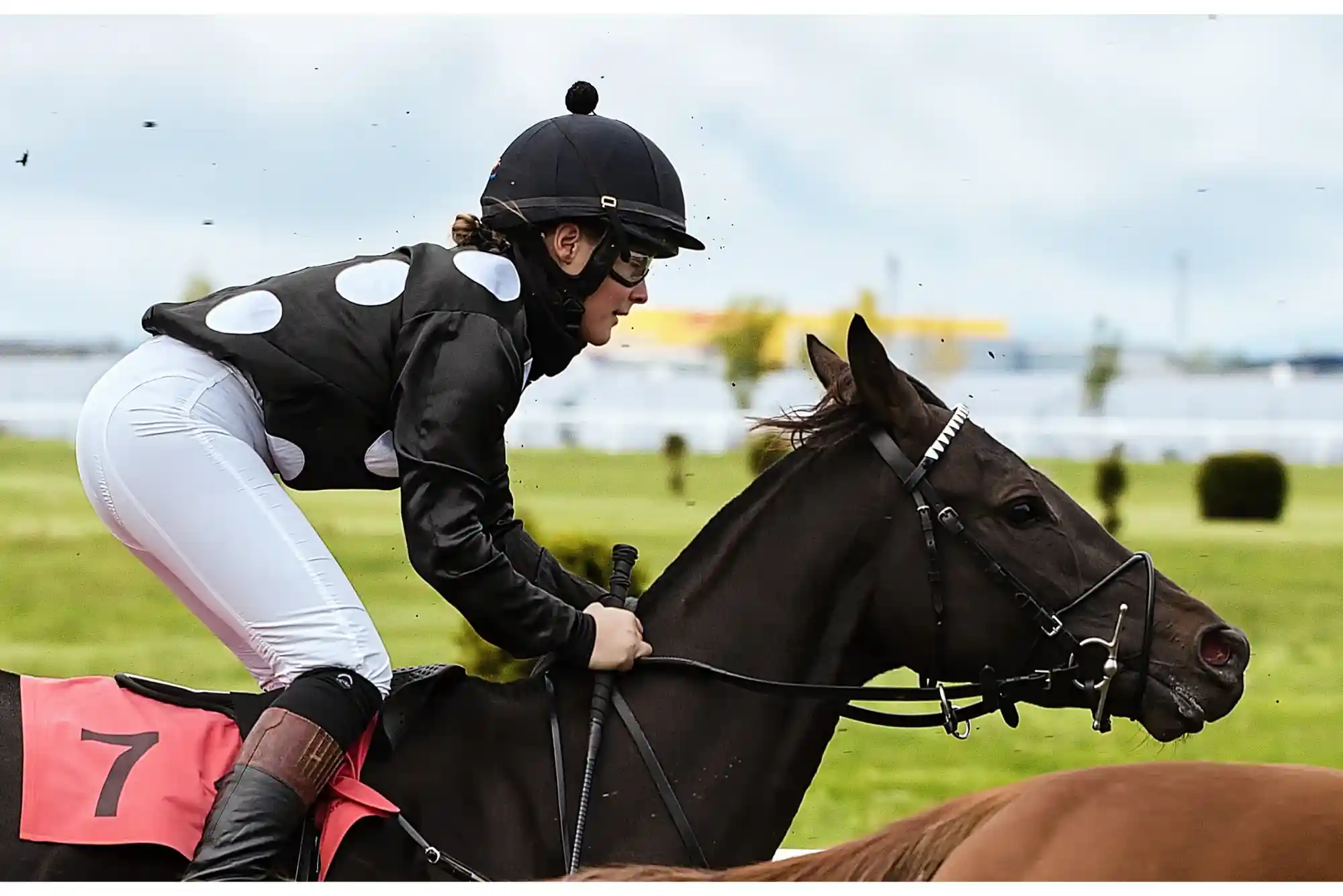 Can I Trust Online Horse Racing Betting Sites