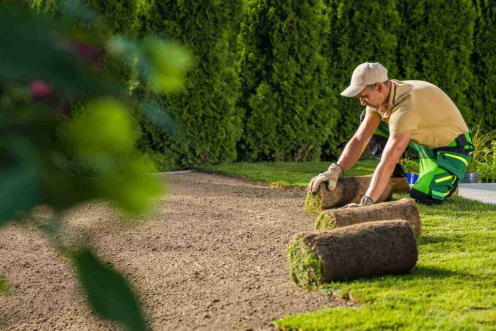 Lawn Services in Omaha, NE